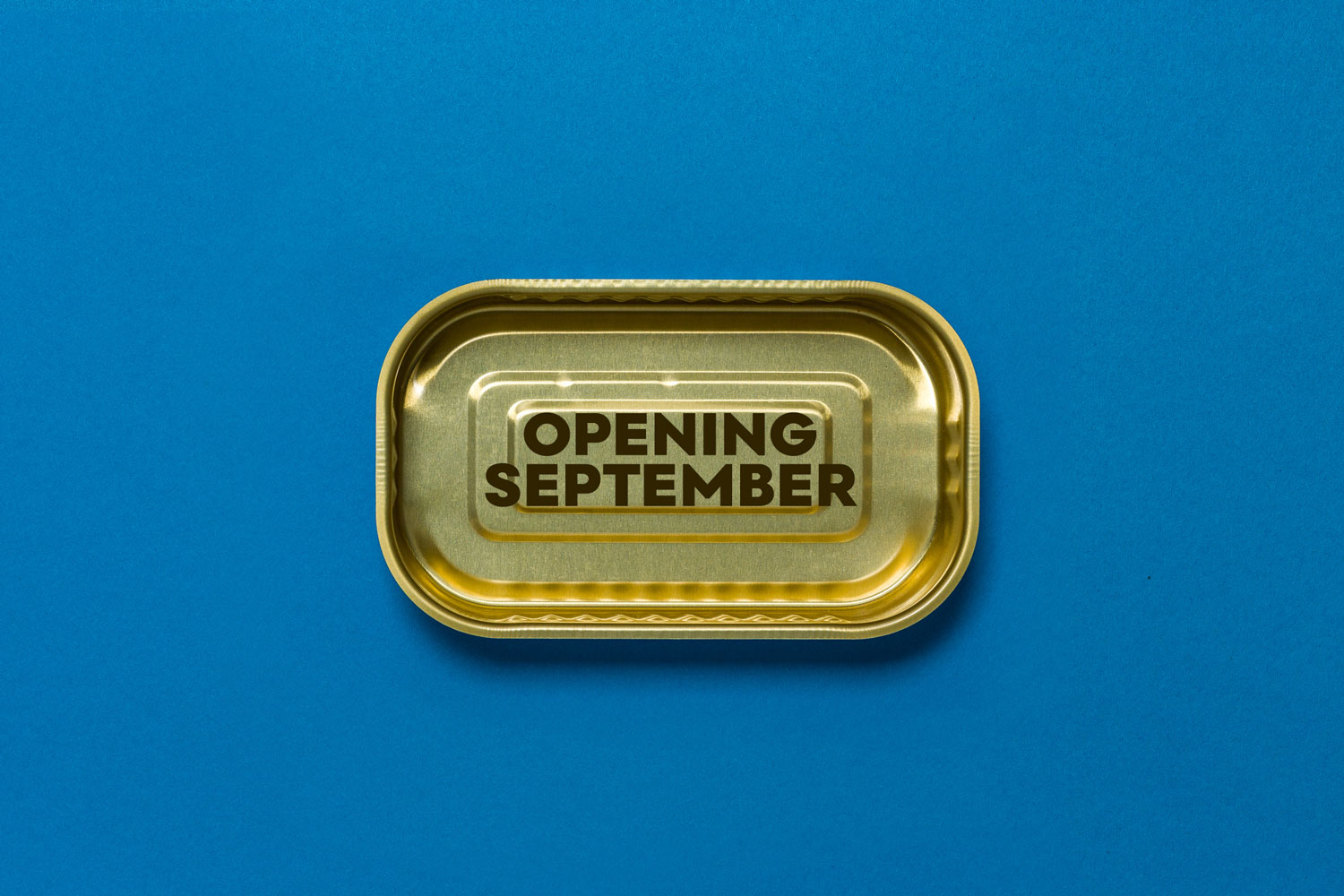 Canto-open-can-teaser-2_1500px Canto opening tin can reveal